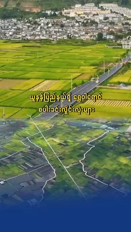 ယူနန်ပြည်နယ်ရှိ ရွှေဝါရောင် စပါးခင်းလှိုင်းလုံးများ